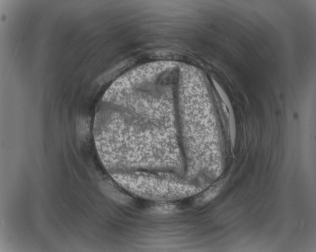 X0000087420278200705181430