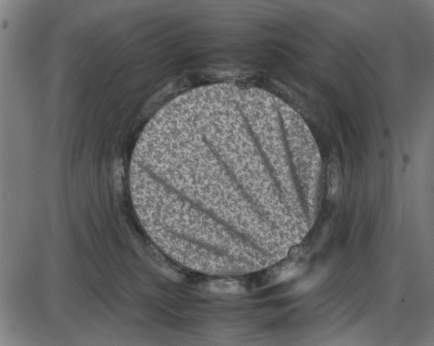 X0000087420279200705181430