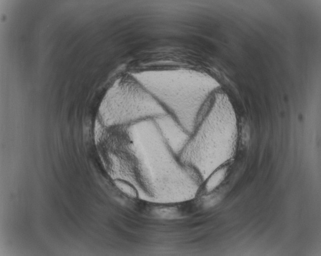 X0000087420283200705181430