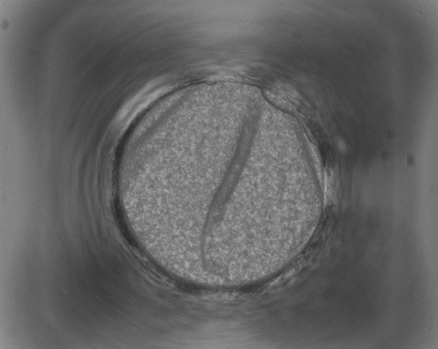 X0000087420291200705181429