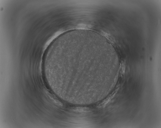 X0000087420292200705181429