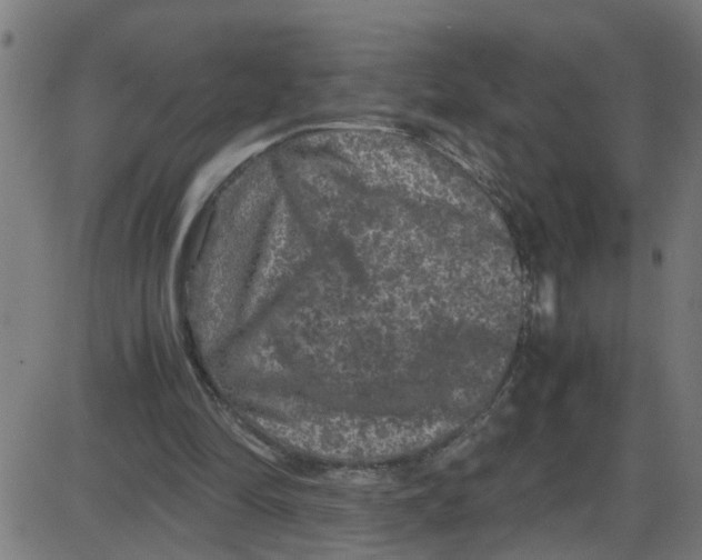X0000087420294200705181429