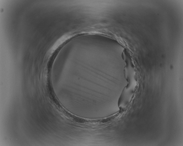 X0000087420295200705181429