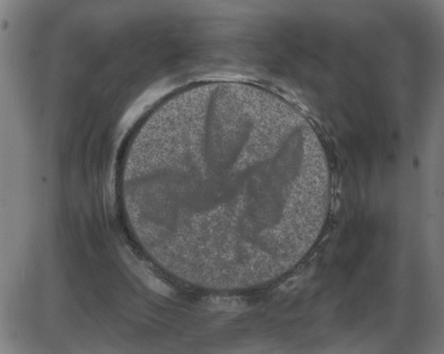 X0000087420296200705181429