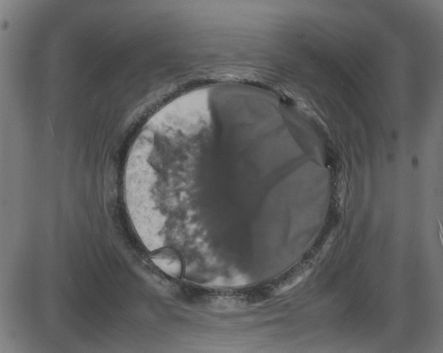X0000087420303200705181429
