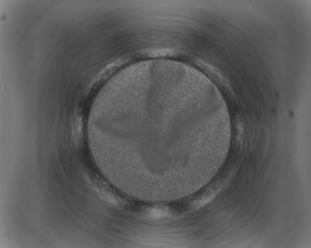 X0000087420308200705181429