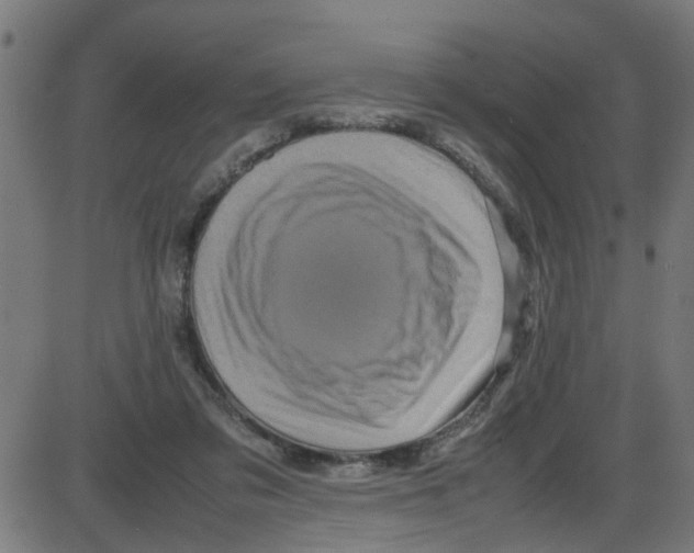 X0000087420309200705181429