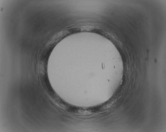 X0000087420311200705181429