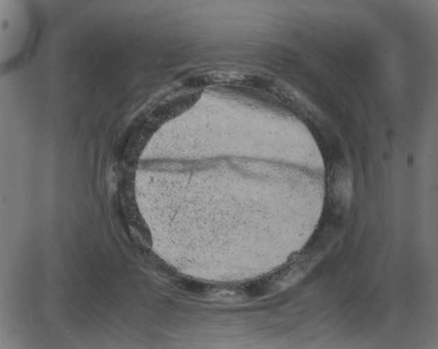 X0000087420315200705181429