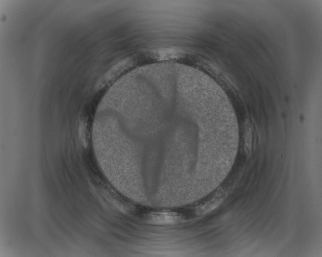 X0000087420316200705181429