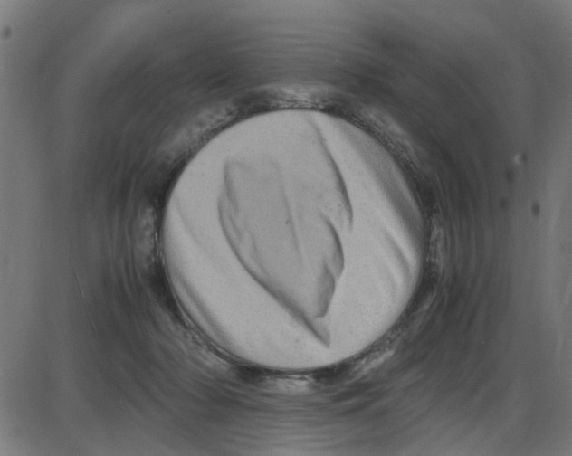 X0000087420318200705181429