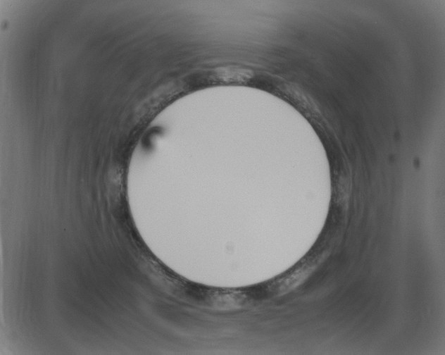 X0000087420321200705181429