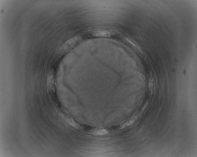 X0000087420322200705181429