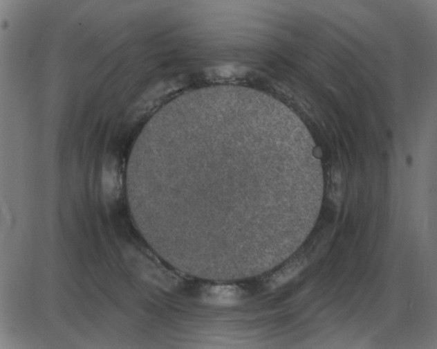X0000087420324200705181429