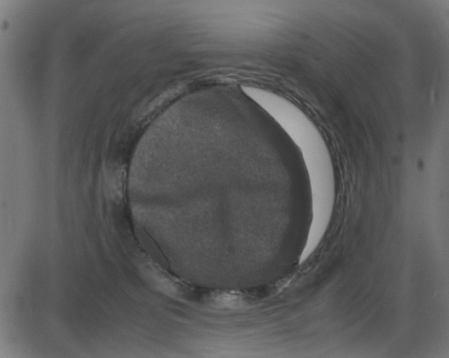 X0000087420325200705181429