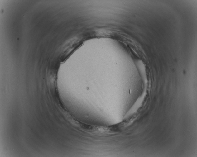 X0000087420329200705181429
