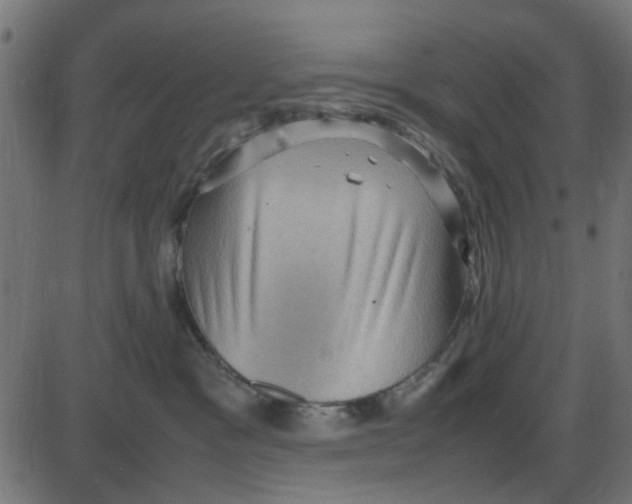 X0000087420333200705181429