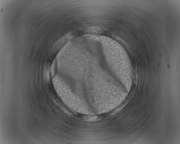 X0000087420334200705181429