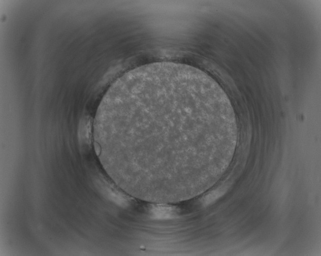 X0000087420336200705181429