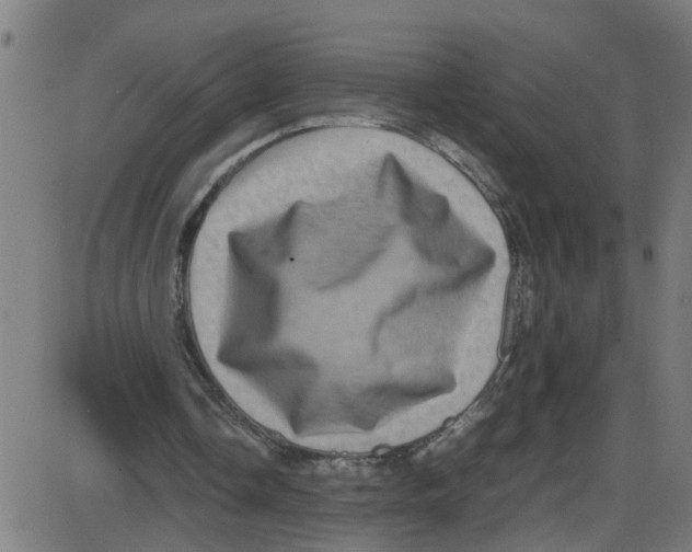X0000087420338200705181428
