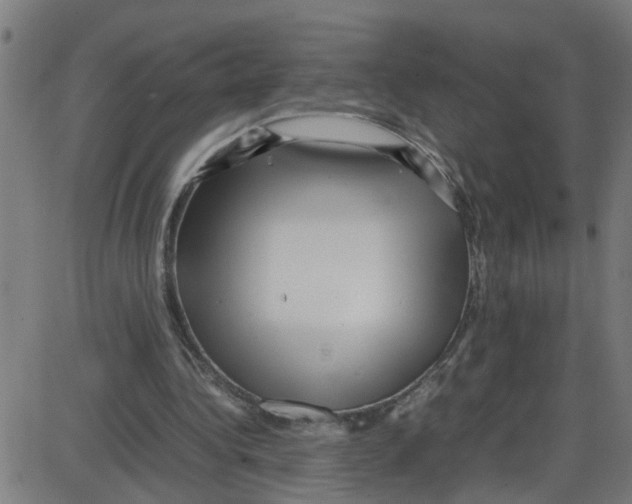 X0000087420340200705181428