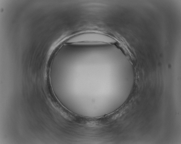 X0000087420344200705181428