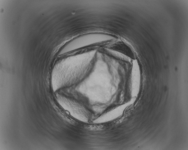 X0000087420345200705181428