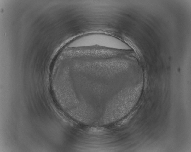 X0000087420346200705181428