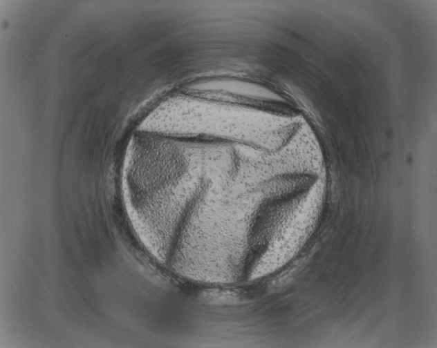X0000087420354200705181428