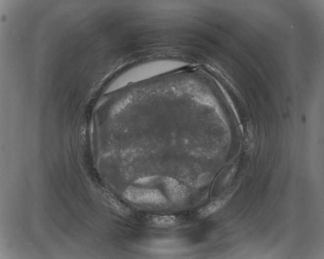 X0000087420355200705181428