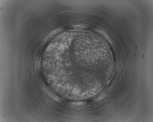 X0000087420357200705181428