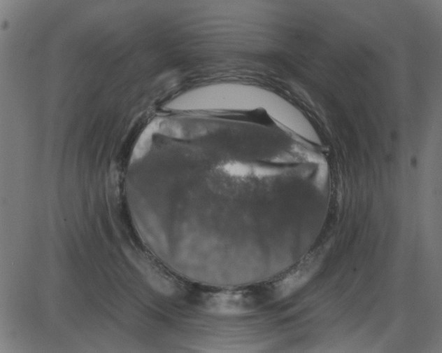 X0000087420366200705181428
