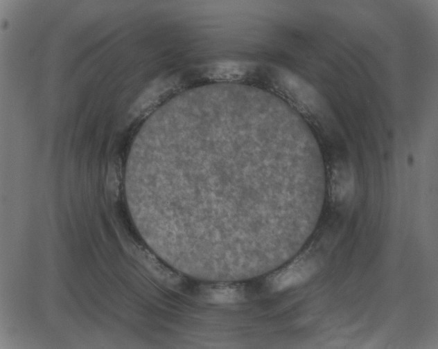 X0000087420370200705181428