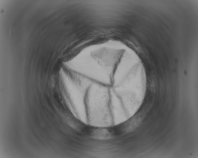 X0000087420374200705181429