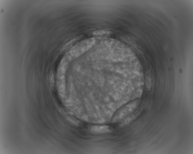 X0000087420375200705181429