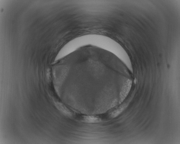 X0000087420380200705181429