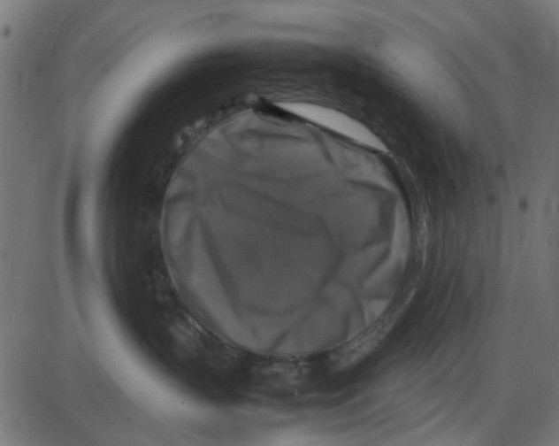 X0000087420383200705181429