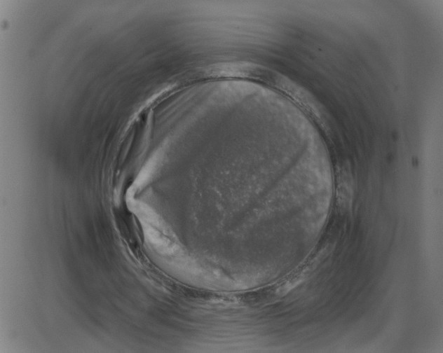 X0000087420386200705181428