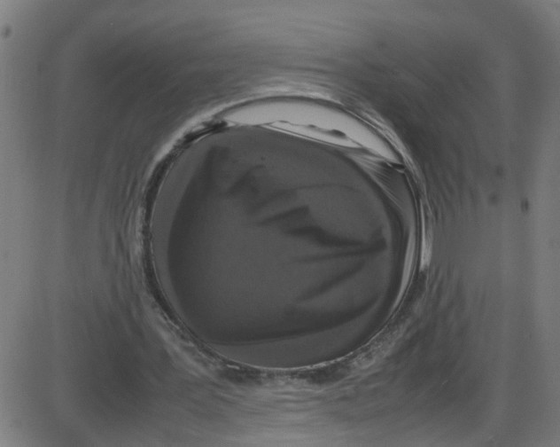 X0000087420387200705181428
