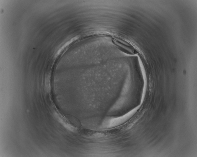 X0000087420390200705181428