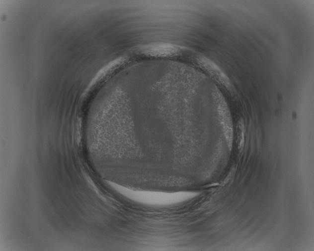 X0000087420400200705181428