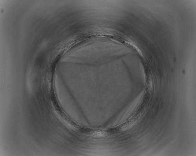 X0000087420402200705181428