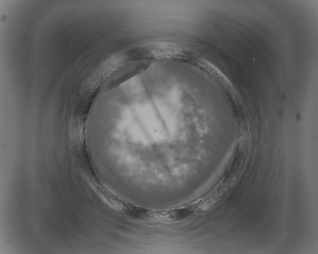 X0000087420405200705181428