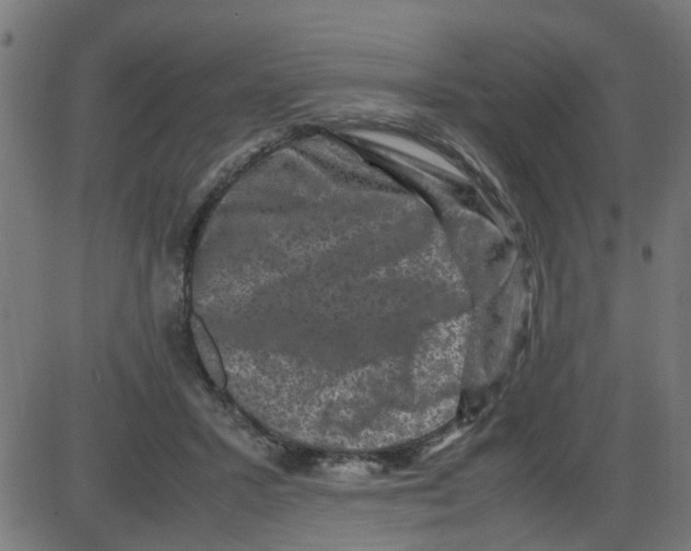 X0000087420407200705181428