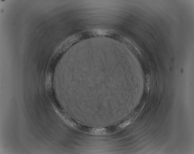 X0000087420410200705181428