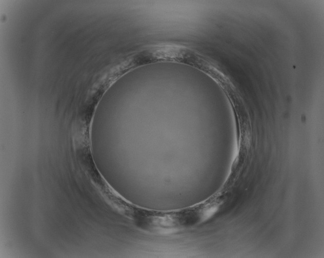 X0000087420411200705181427
