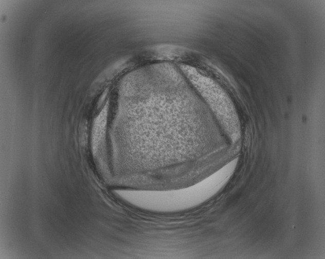 X0000087420413200705181427
