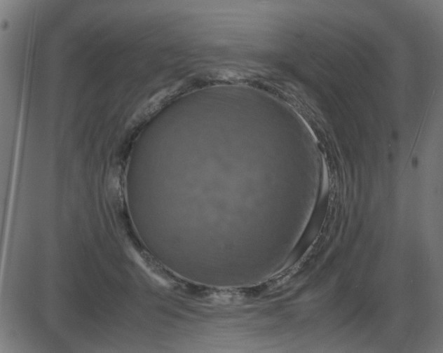 X0000087420415200705181427