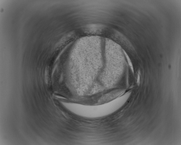 X0000087420416200705181427
