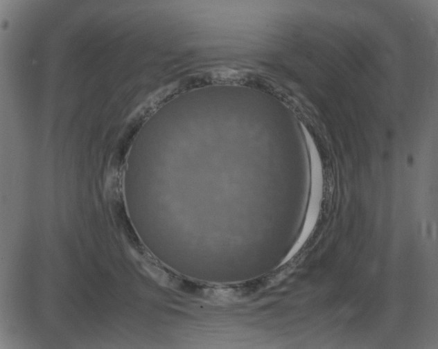 X0000087420419200705181427